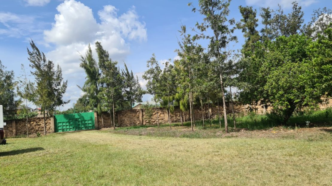 video image